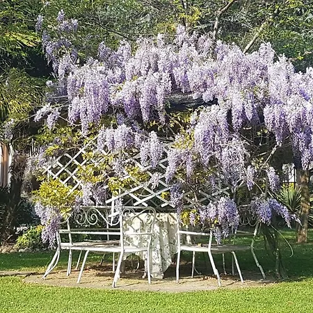 Le Palme Frühstückspension 4*