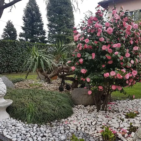 Frühstückspension Le Palme Appiano Gentile