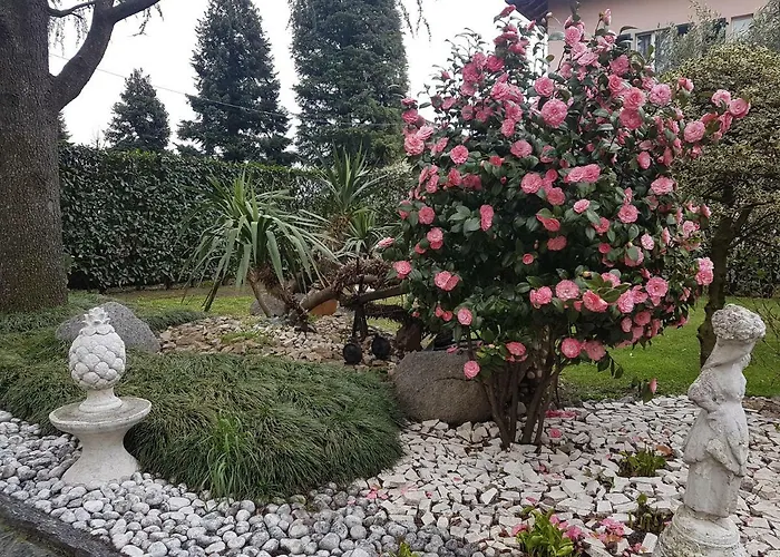 فندق مبيت وإفطار Le Palme أبيانو جنتيلي